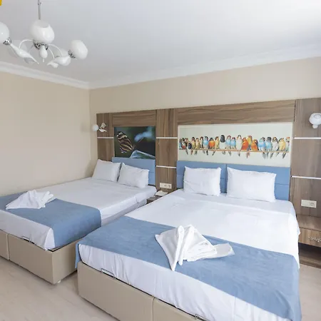 De Maree 伊斯坦布尔